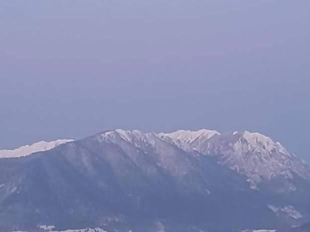 Zărneşti Edelweiss Ilinca 아파트 외부 사진