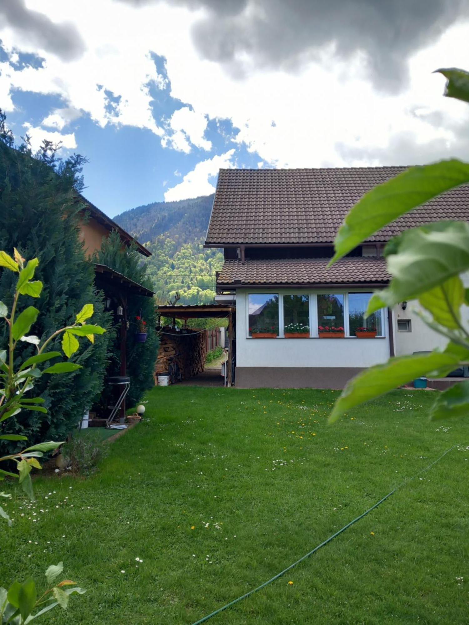 Zărneşti Edelweiss Ilinca 아파트 외부 사진